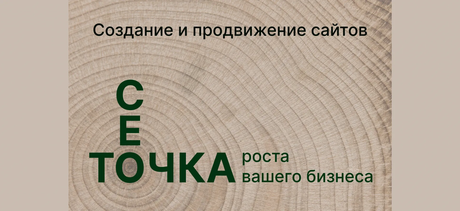 CEO продвижение сайтов